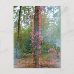Postal Atmósfera del bosque - impresión en lienzo