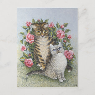 Postal Atracción