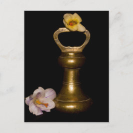 Postal Atracción floral