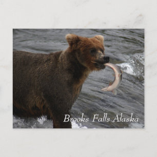 Postal Atrapado, Brooks cae en Alaska