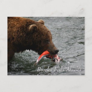 Postal Atrapado, Brooks cae en Alaska