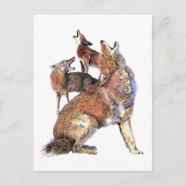 Postal Aturamiento acuático Coyotes Arte de naturaleza an