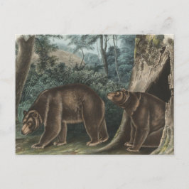 Postal Audubon de Cinnamon Vintage