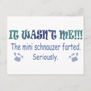 Postal aug315fartMiniSchnauzer.jpg