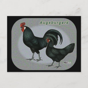Postal Augsburger Fowl