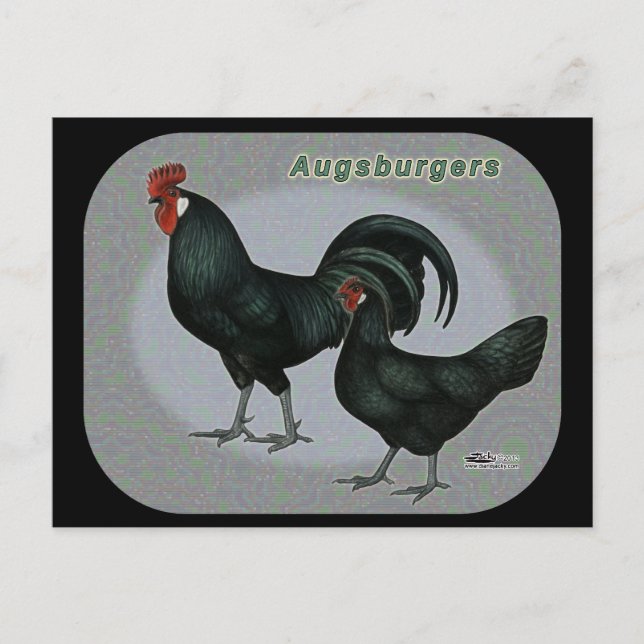 Postal Augsburger Fowl (Anverso)