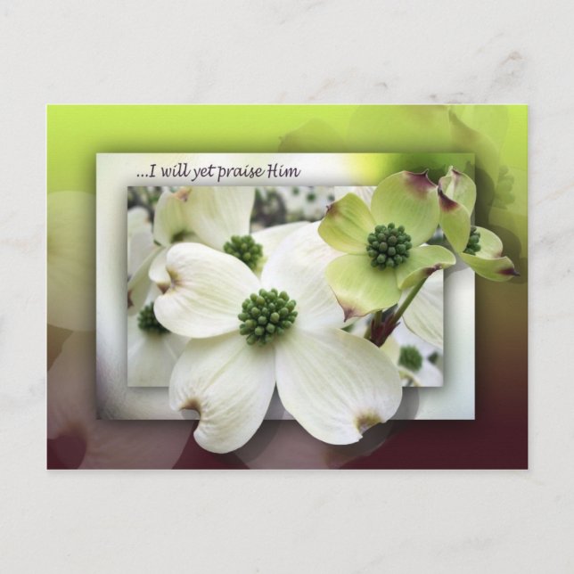 Postal Aún Lo Alabaré. (Anverso)