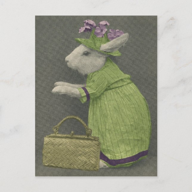 Postal Aunt Bunny Postcard (Anverso)