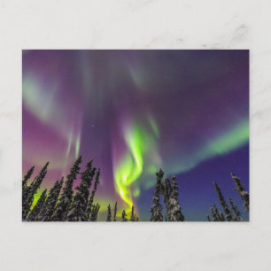 Postal Aurora Boreal   Fairbanks, Alaska