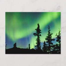 Postal Aurora boreal intensa sobre la taiga de abetos neg