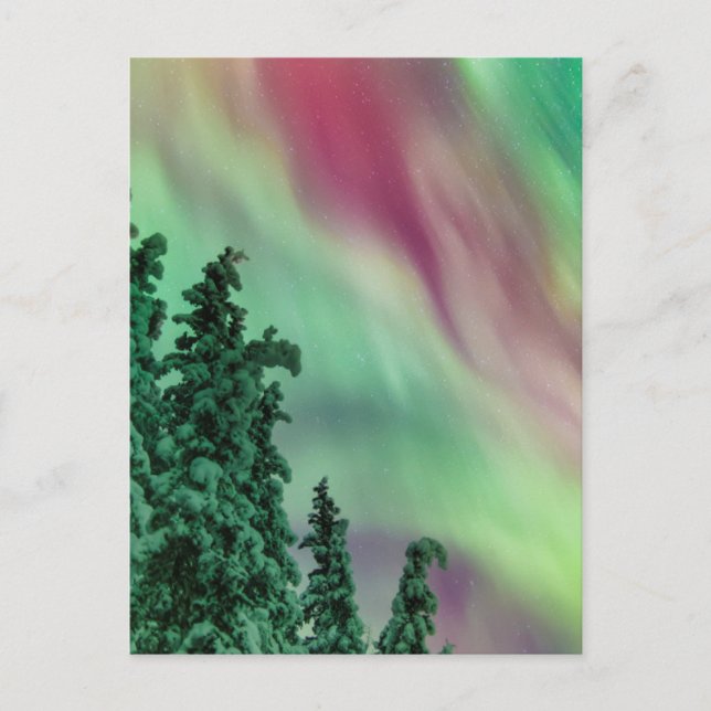 Postal Aurora boreal | Invierno en Glennallen, Alaska (Anverso)