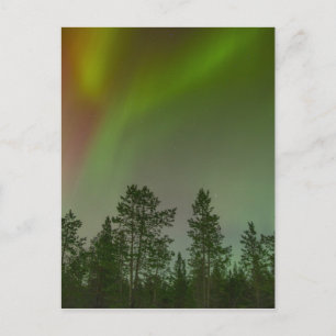 Postal Aurora Boreal Luces del Norte Cielos Brillan Respl