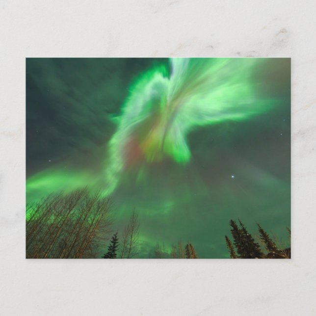 Postal Aurora Boreal Luces del Norte | Fairbanks (Anverso)