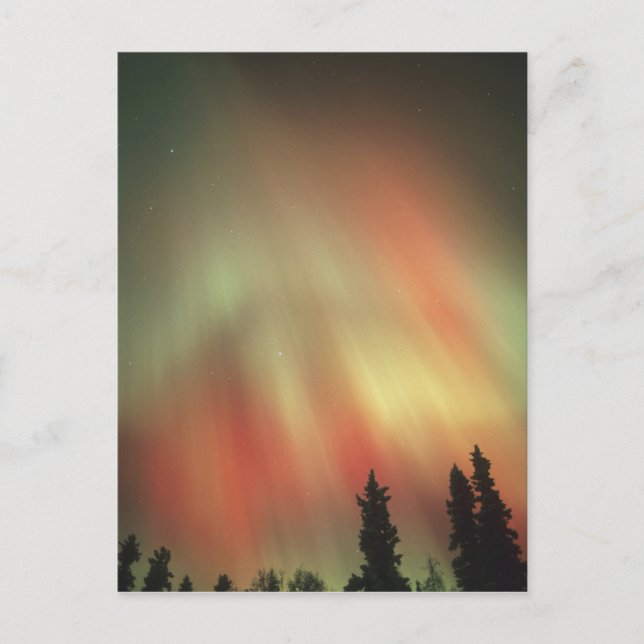 Postal Aurora Boreal, Luces del Norte, Fairbanks (Anverso)