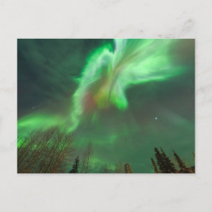 Postal Aurora Boreal Luz del Norte Fairbanks