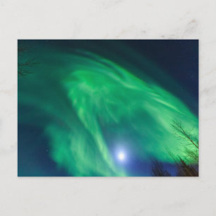 Postal Aurora Boreal Luz del Norte   Fairbanks