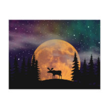 Aurora boreal septentrional de las noches