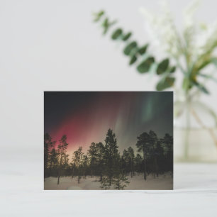 Postal Aurora boreal sobre bosque nevado