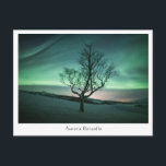 Postal Aurora Borealis<br><div class="desc">Luz del Norte (Aurora borealis) en el norte de Noruega.</div>
