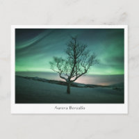 Aurora Borealis