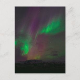 Postal Aurora Borealis Norte Ilumina Árboles Tierras Natu