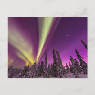 Postal Aurora Borealis Northern Lights Fairbanks Alaska