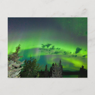 Postal Aurora borealis sobre el bosque boreal