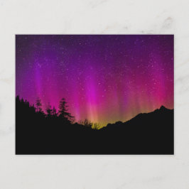 Postal Aurora Borealis Starry Night Sky