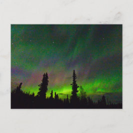 Postal Aurora colorida sobre Alaska