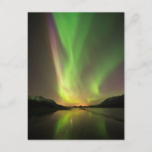 Postal Aurora Multicolor
