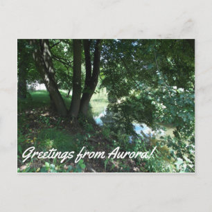 Postal Aurora Postcard