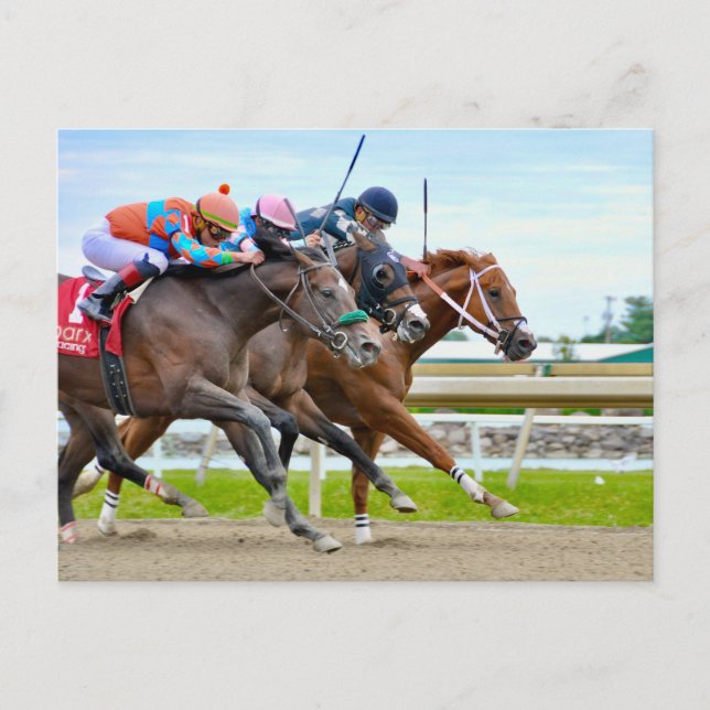 Postal Ausente- Irad Ortiz jr. Camgo, Irish Roar (Anverso)