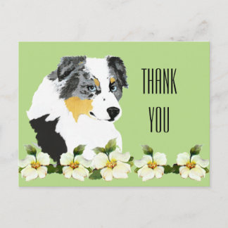 Postal Aussie Blue Merle Dog Gracias Postcard