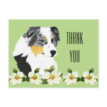 Aussie Blue Merle Dog Gracias Postcard