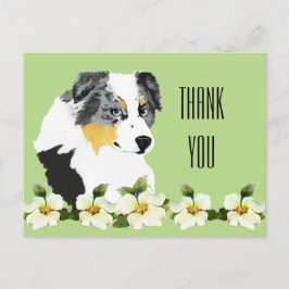 Postal Aussie Blue Merle Dog Gracias Postcard