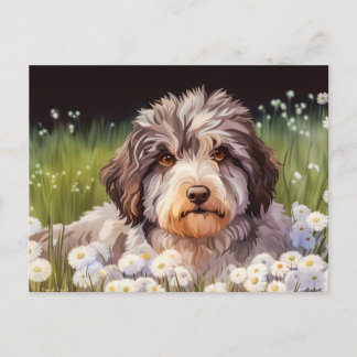 Postal Aussiedoodle mit Gänseblümchen