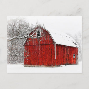 Postal Austere y bare Barn Rojo de Invierno