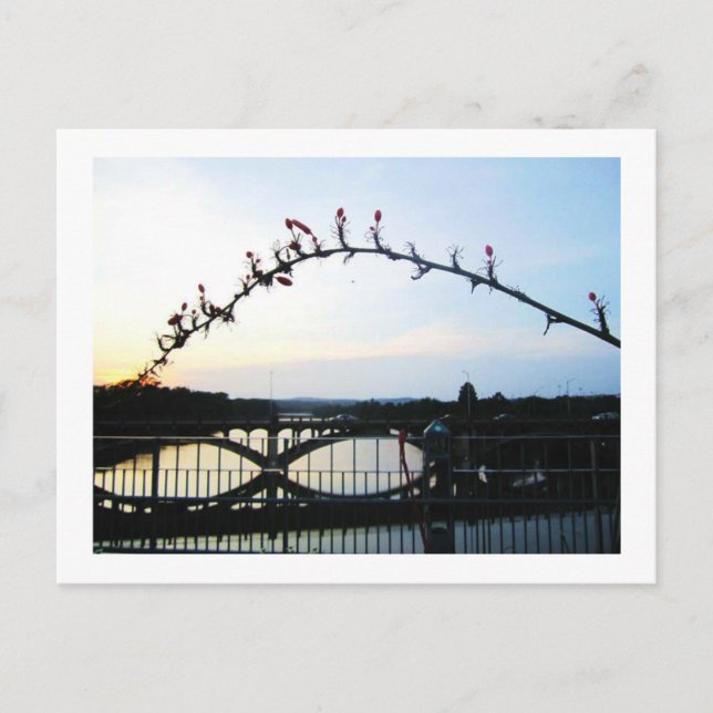 Postal Austin Texas (Anverso)