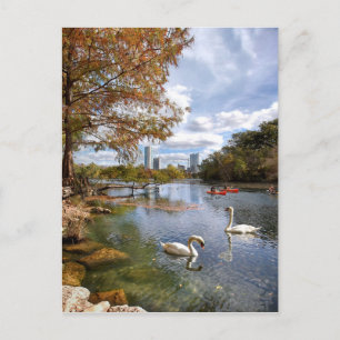 Postal Austin, Texas Barton Creek / Ladybird Lake Swans
