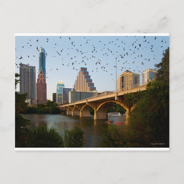 Postal Austin, Texas Congress Bridge Bats (Anverso)