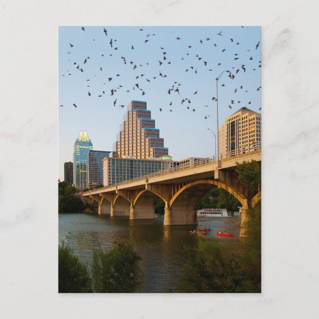 Postal Austin, Texas Congress Bridge Bats (Anverso)