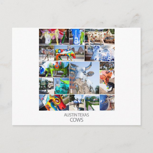 Postal Austin Texas Cows (Anverso)
