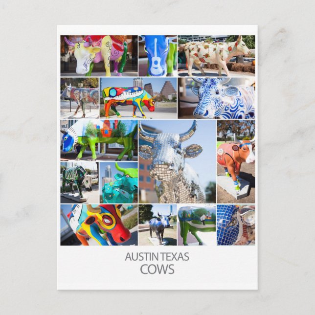 Postal Austin Texas Cows (Anverso)