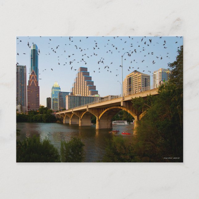 Postal Austin, Texas with Bats (Anverso)