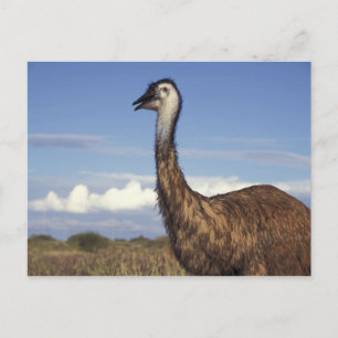 Postal Australia, Australia Occidental. Emu (Dromaius)