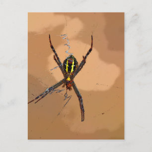 POSTAL AUSTRALIA DE LA QUEENSLAND AMARILLA Y NEGRA SPIDER