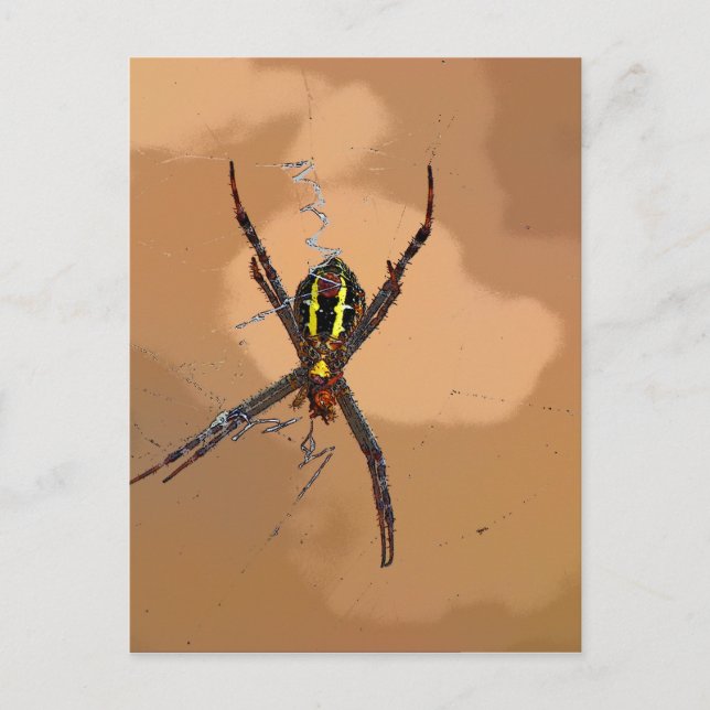 POSTAL AUSTRALIA DE LA QUEENSLAND AMARILLA Y NEGRA SPIDER (Anverso)