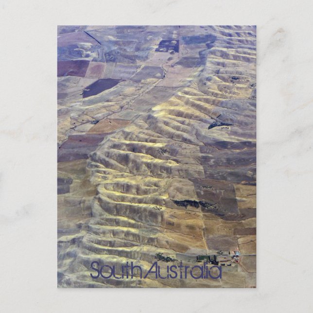 Postal Australia del Sur (Anverso)