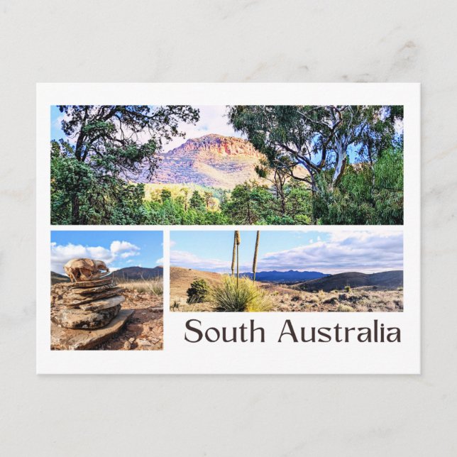 Postal Australia del Sur (Anverso)