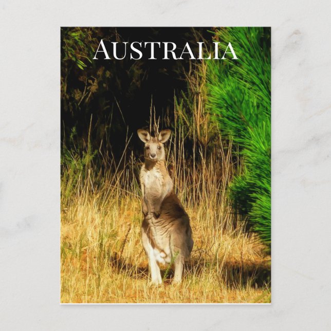 Postal Australia Kangaroo (Anverso)